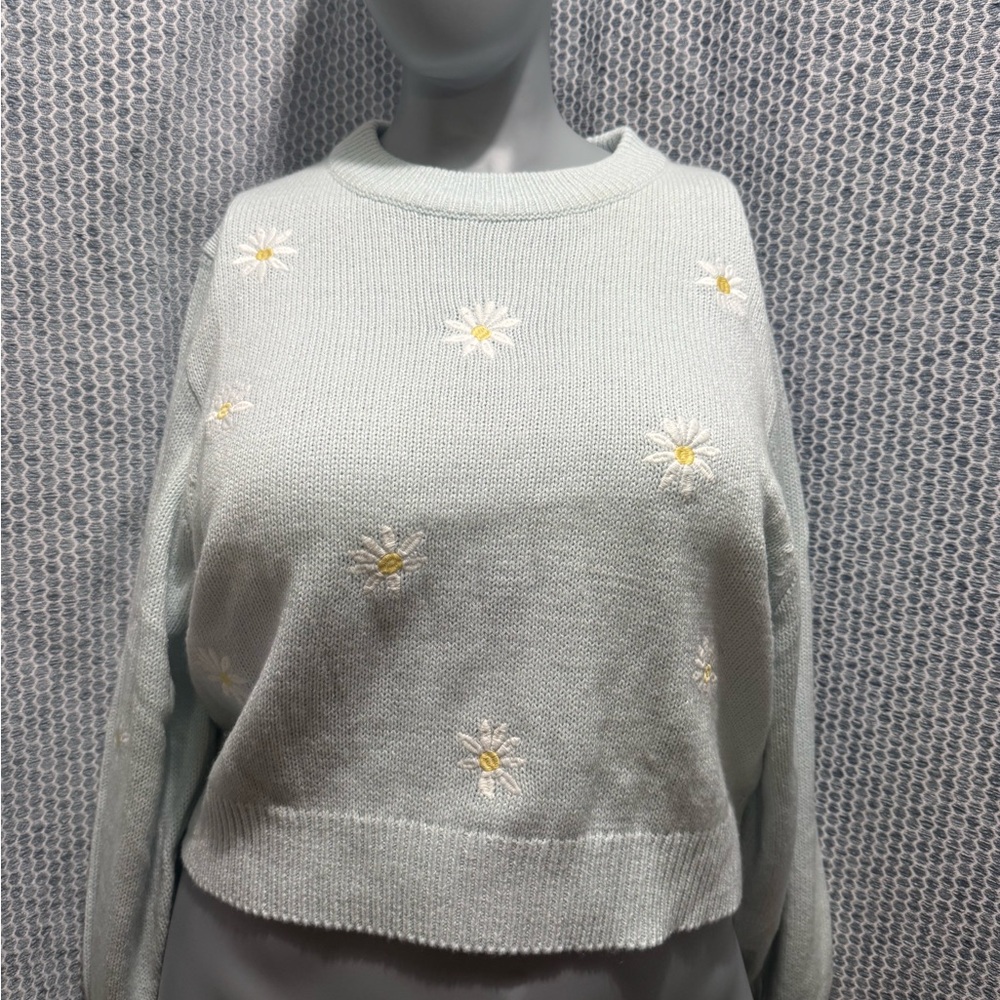 H&M light blue Sweater with Daisy Embroidery